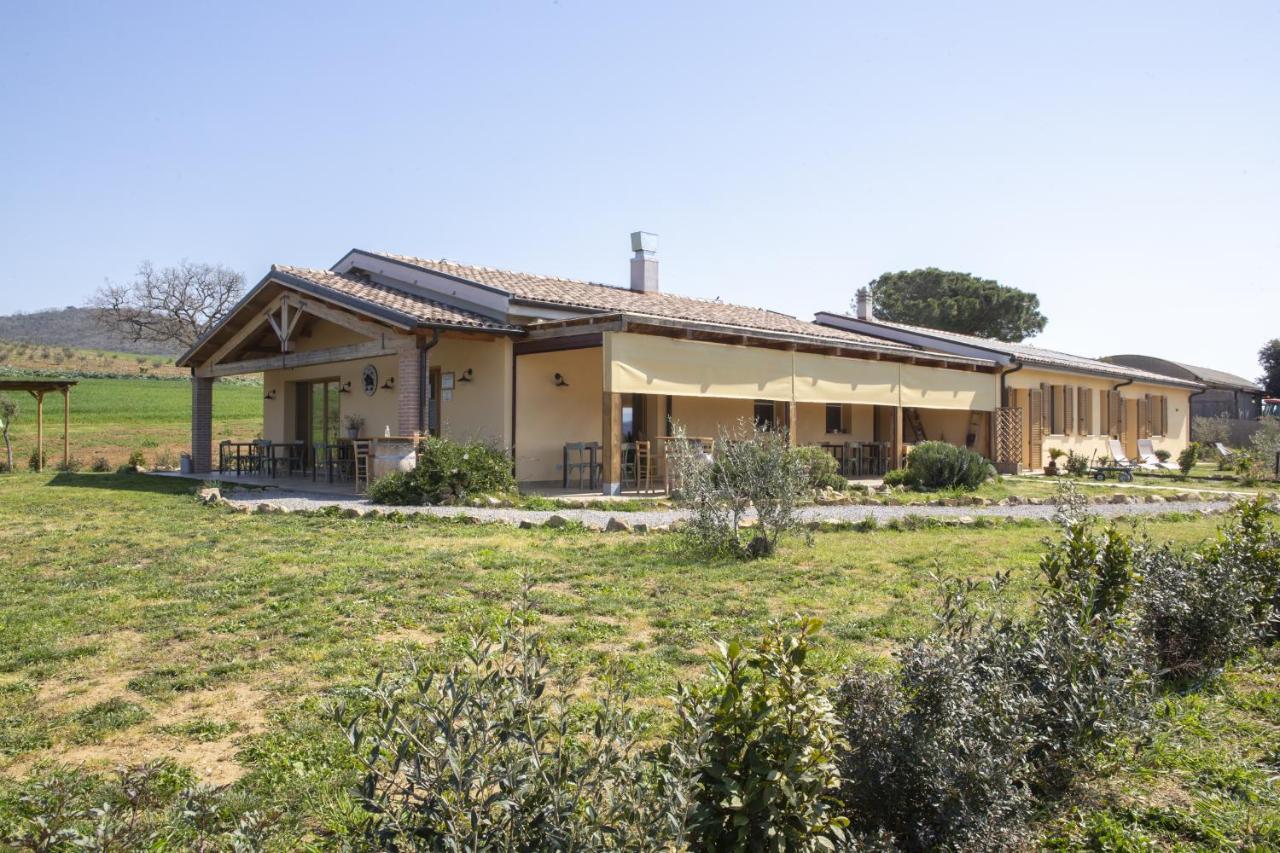 Agriturismo Casa Ricci Villa Magliano in Toscana Dış mekan fotoğraf