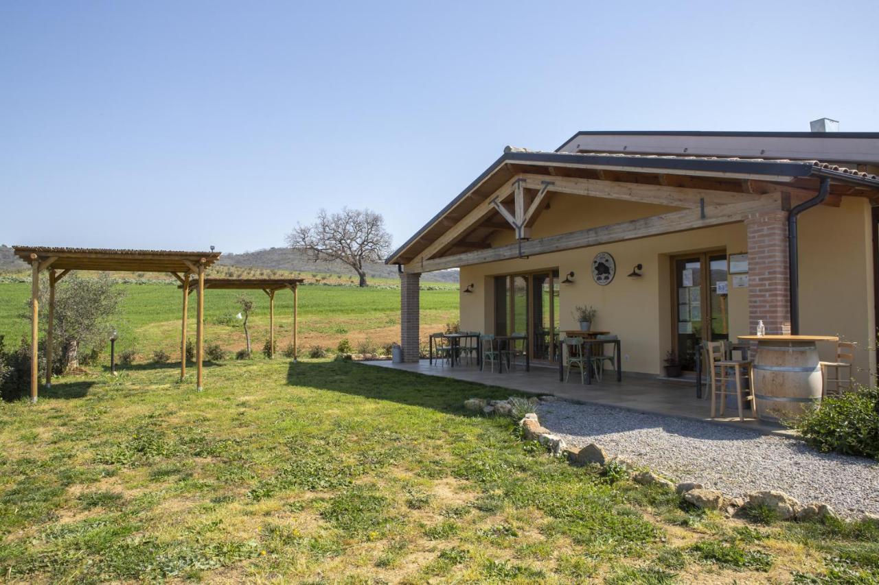 Agriturismo Casa Ricci Villa Magliano in Toscana Dış mekan fotoğraf